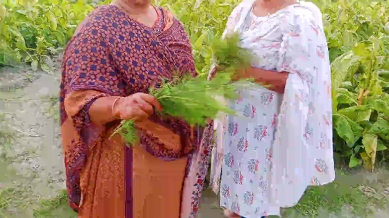 Hoktoml99: Rakib69 _ Bangla Desi Outdoor Village 3 Some Mms Hot