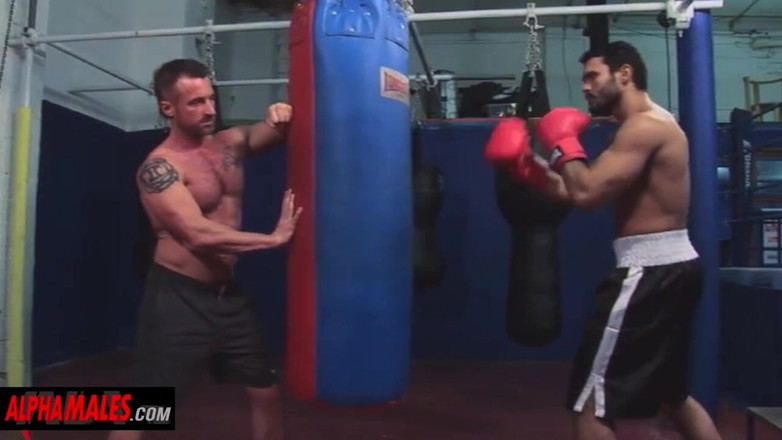 AlphaMales: Alphamales- si piega e mangia la sborra