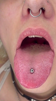 Mouth Tour
