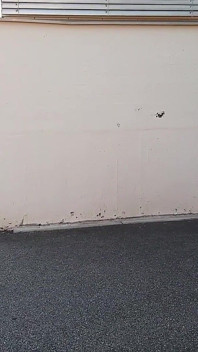Abuela paseando fuera con mallas negras