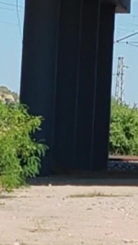 Slave Tih Shows Her Pussy and Tits Under the Bridge