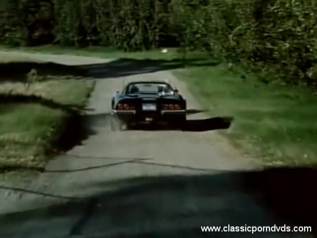 Classic Porn DVDs: Klasyczne porno DVD: Marilyn Chambers Nienasycony P