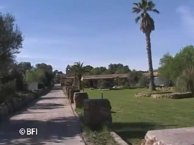 Amazing asses and pussies: Mallorca
