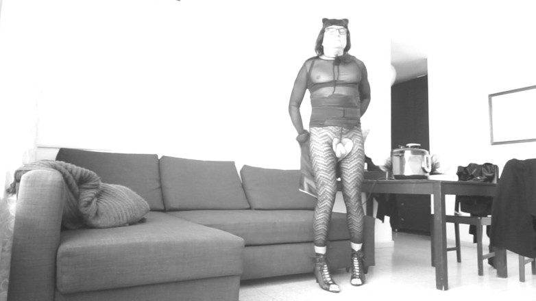 Voyager: 크로스 트레이너가 자랑한다. 웹캠을 통해.