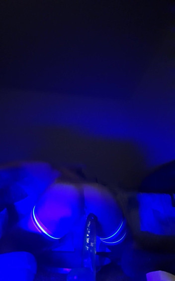 camaleon: Tunggangan dan dacing batang 9 Inc