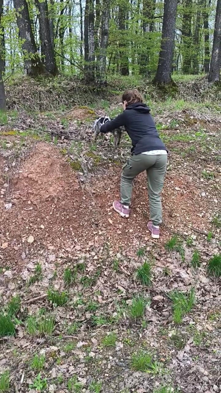 FenekManul: Pee on the Little Sidehill