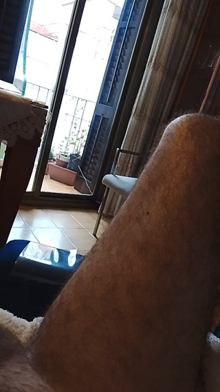 Beehive: 窓越しに