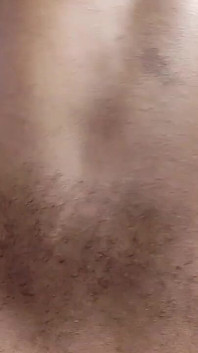Hairy Bear Shaved