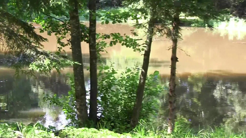 Popp Sylvie: Seks di danau