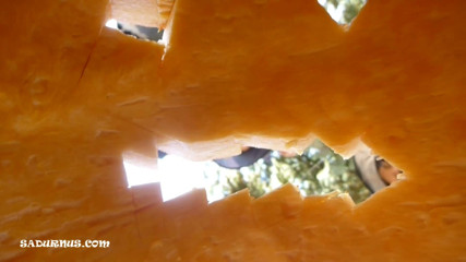 Sadurnus: Happy Halloween! Pumpkin Facebusting