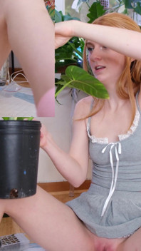 Tutorial per le piante bagnate