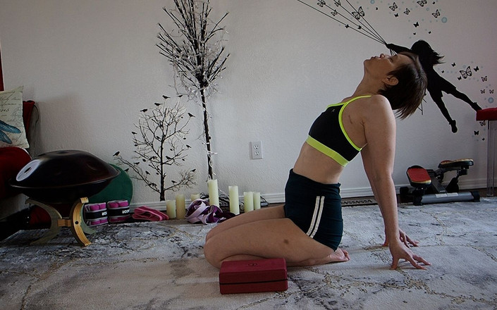 Aurora Willows: Motivasi harian di balik layar harian 45