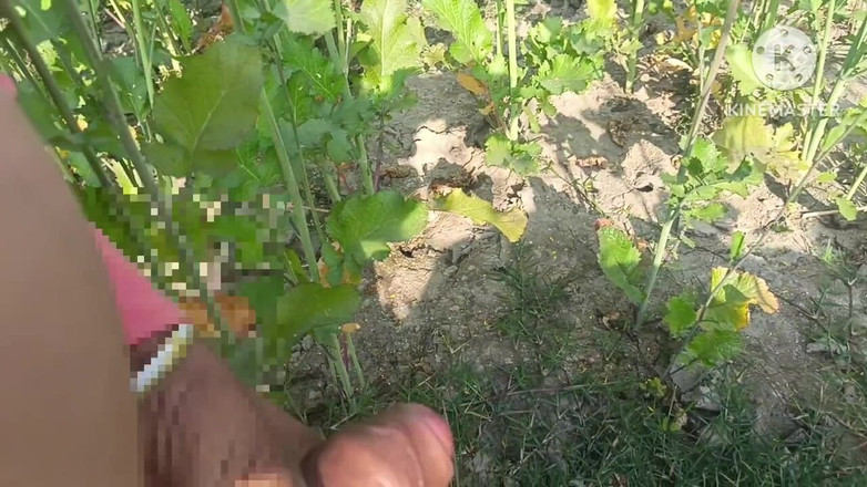 Savita5343: 겨자 밭에서 후배위 스타일로 따먹히는 마을 인도 바비. 야외 섹스 인도 바비와 드와르