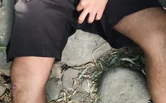 Gran polla en el bosque
