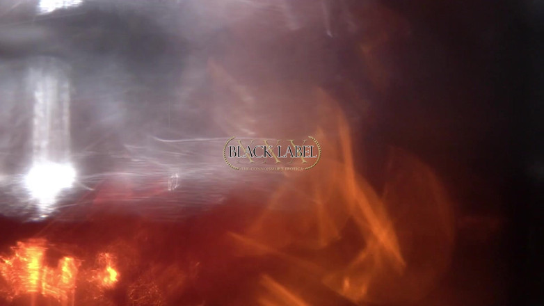 Black Label Magazine: Risque rendezvous tập hai