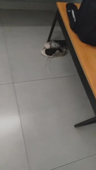 I Almost Got Caught Exposing Myself in the Gym Bathroom, and the Guys Saw Me