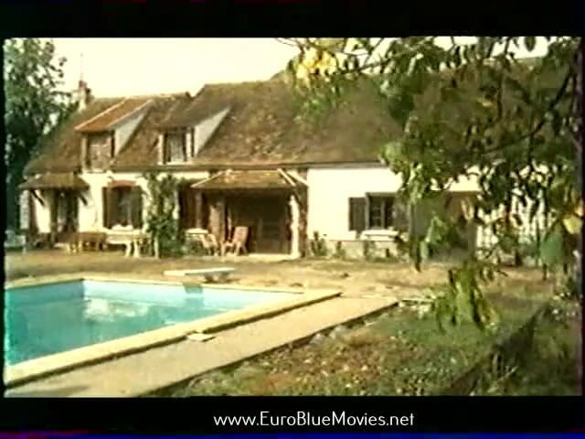 Euro Blue Movies: Come in Quickly, I'm Getting Wet (1979)