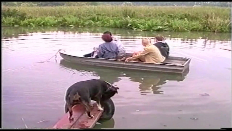 Muschi movie official: Le Barche a Noleggio per Il Sesso