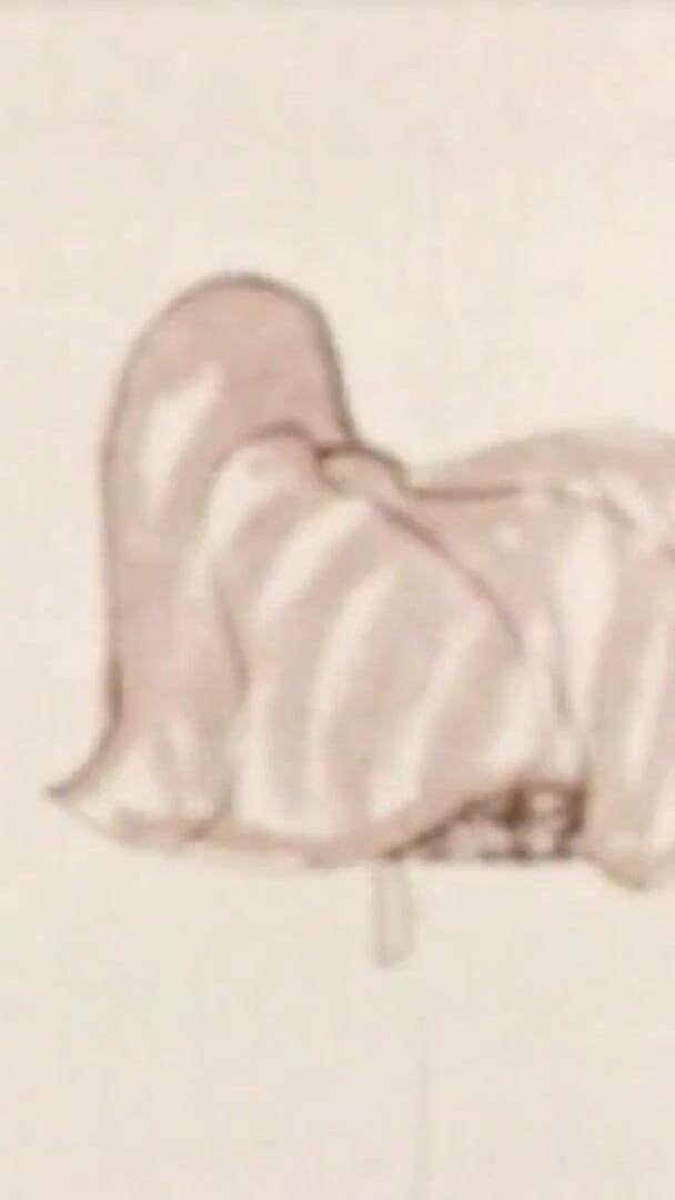 Perverted Cartoons (part 2) (The Unforgettable)