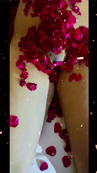 Laal Pari v red rose girl