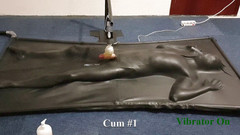 NL Milking: 在真空中由控制的振动器挤奶