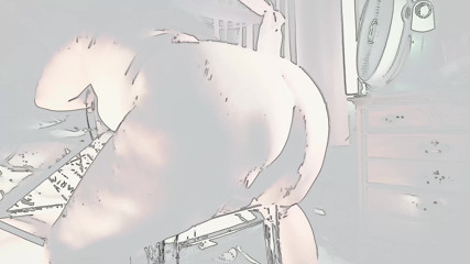 SexyNEBBW: Chair BBW ass shake anime version