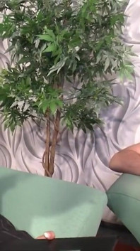 Terapia sexual de Petra - cena # 04