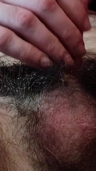 Peluda close-up de pau, bolas, bunda ejaculação