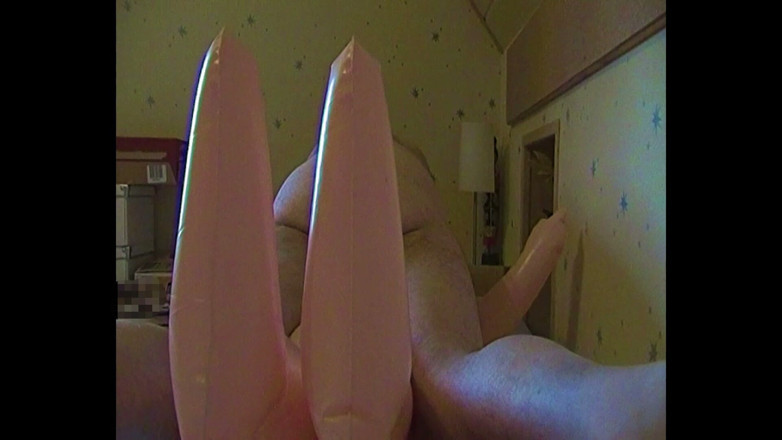 Mark Hannes: Sexdoll Fuck Masturbation