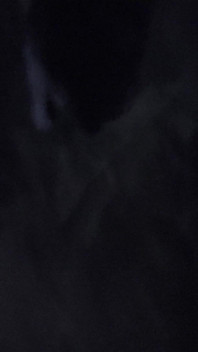 Horrorporno 17: vrouwelijke spider