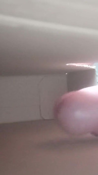 Dick in Box