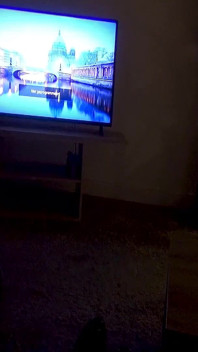 Můj nevlastní bratr má velký penis