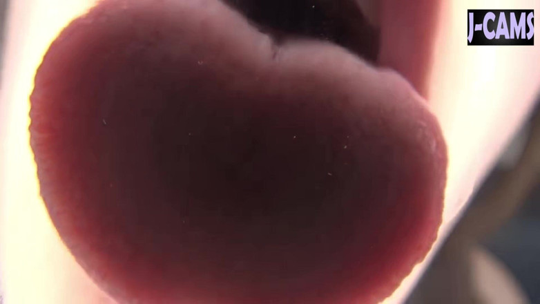 J-Cams: Seidenzunge gleitet langsam mit hochglänzenden lippen, tropfende versuchung - Clip1