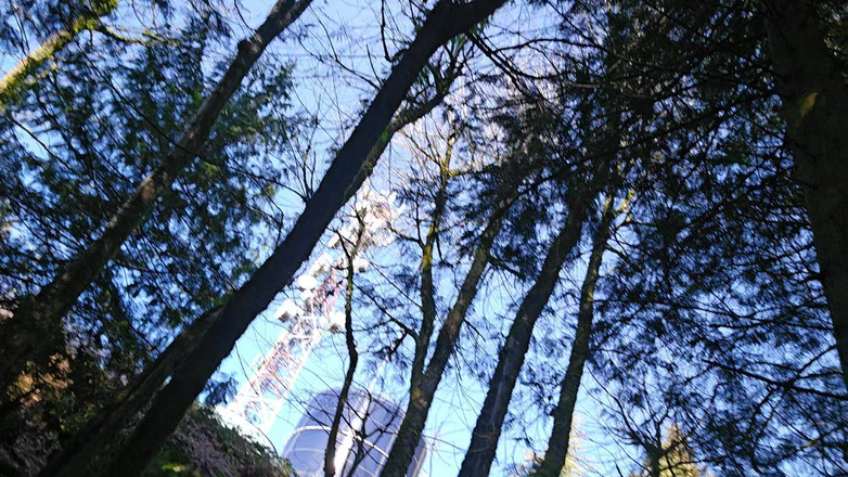 Nerdy_faery: Ich Muss Pinkeln!