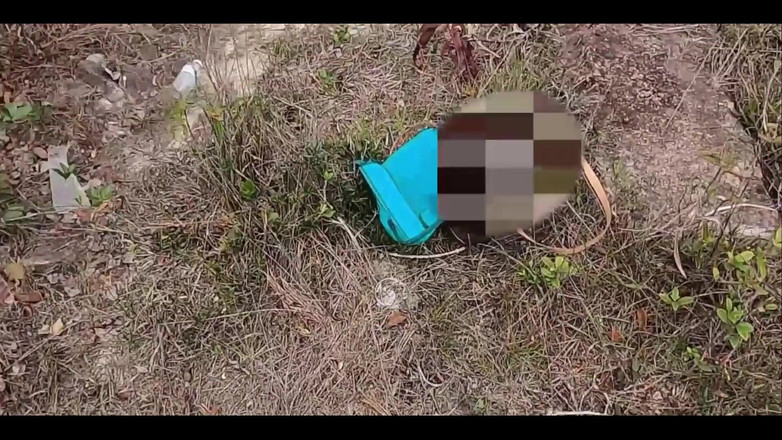 Anonymous Vlogger: 山の上でファック - リアルセックス