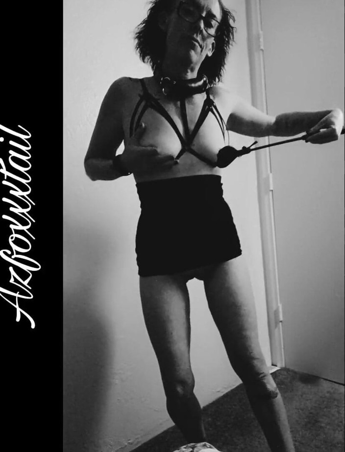 AzFoxxxTailPhelicia: Whip 2