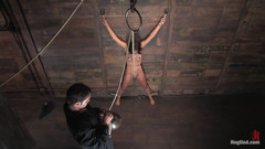 Hogtied by Kink: Welcome Back Gina Caruso MILF, Fitness Model and Sports Announcer