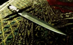Kaia kane देर रात की जोरदार मुठभेड़ में जंगली हो जाती है