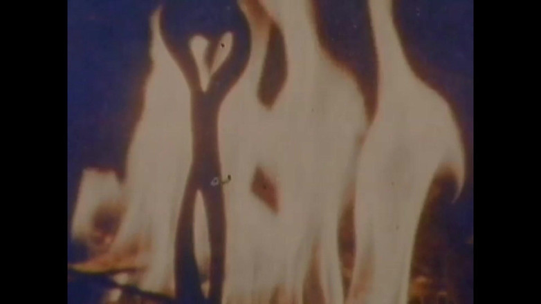 Vintage Usa: 豚の様子を見て楽しんでください