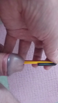 Stepdaddy Stands on the Toilet and Plays with His Penis but a Pen