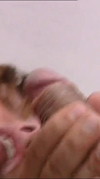 放荡的警笛从海里升起来渴望鸡巴（与凯莉·特朗普的完整复古色情电影）