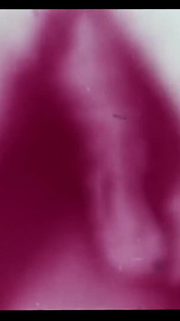 Vintage porn retro erotic theatre - Robins nest