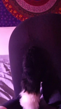 Slap Ass