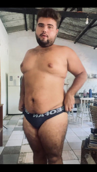 Solo Bear
