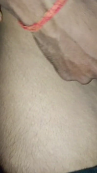 Desi bhabhi i dever gorący seks wideo hindi audio