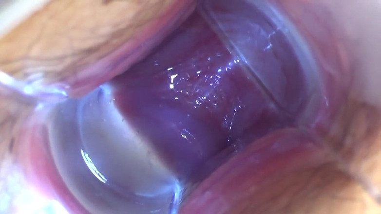 Temptation: Asian Angel 18787