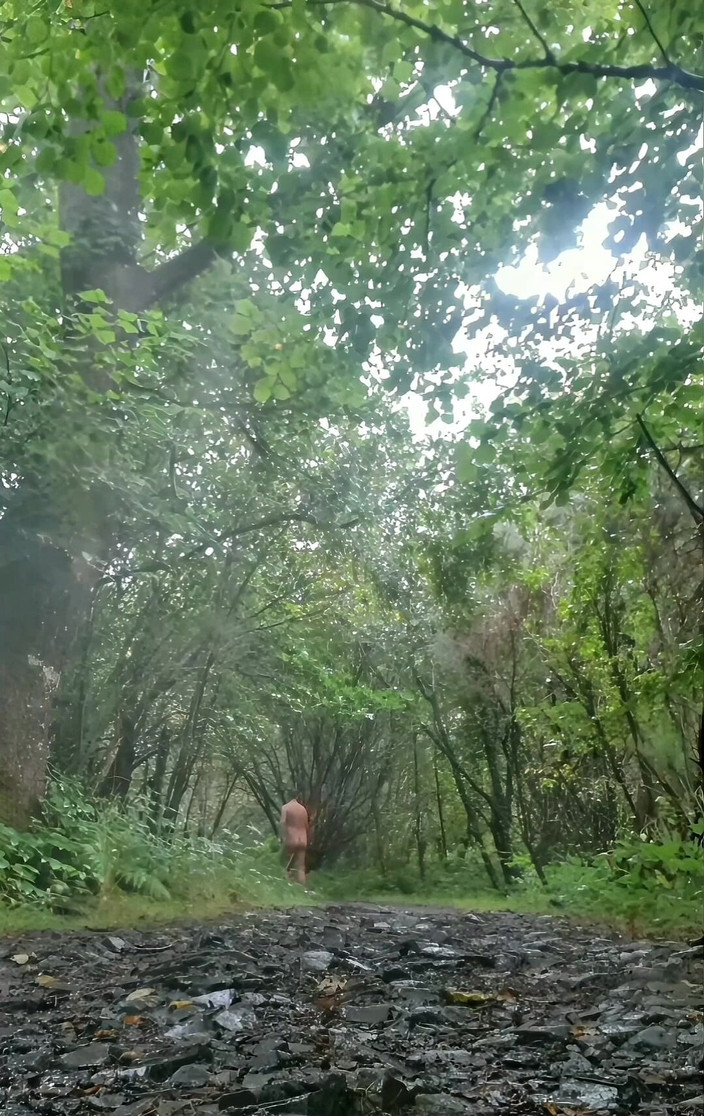 MaleModel: Countrypark nudity (parc extérieur / bois nu)