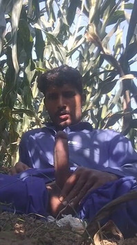 Solo Boy Huge Cock HD