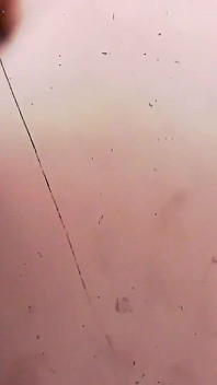 Private Films N. 3: 1960s Close-up Pussy Intensely Penetrated