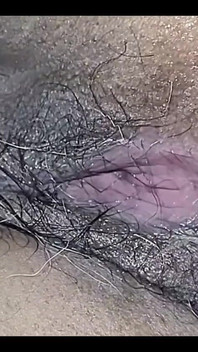 Ma chatte poilue a faim